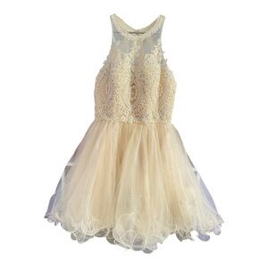 Elegant Cream Lace and Tulle Dress